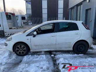 Fiat Punto Punto Evo (199), Hatchback, 2008 / 2012 1.3 JTD Multijet 85 16V Euro 5 picture 7