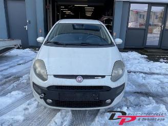Fiat Punto Punto Evo (199), Hatchback, 2009 / 2012 1.3 JTD Multijet 85 16V Euro 5 picture 2