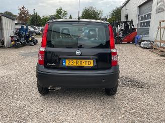 Fiat Panda  picture 6