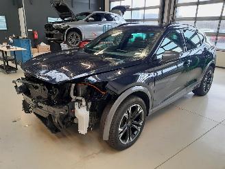 Auto incidentate Cupra Formentor E-hybrid Performance DSG 2023/5
