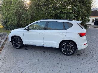 Cupra Ateca Cupra Ateca VZ 4Drive 2.0TSI DSG Beats Camera VOL picture 13