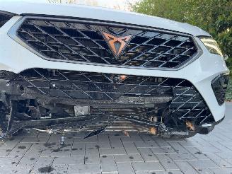 Cupra Ateca Cupra Ateca VZ 4Drive 2.0TSI DSG Beats Camera VOL picture 26