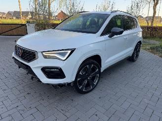 Cupra Ateca Cupra Ateca VZ 4Drive 2.0TSI DSG Beats Camera VOL picture 20