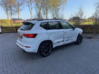 Cupra Ateca Cupra Ateca VZ 4Drive 2.0TSI DSG Beats Camera VOL picture 10