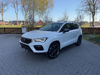 Cupra Ateca Cupra Ateca VZ 4Drive 2.0TSI DSG Beats Camera VOL picture 19