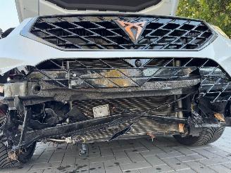 Cupra Ateca Cupra Ateca VZ 4Drive 2.0TSI DSG Beats Camera VOL picture 25