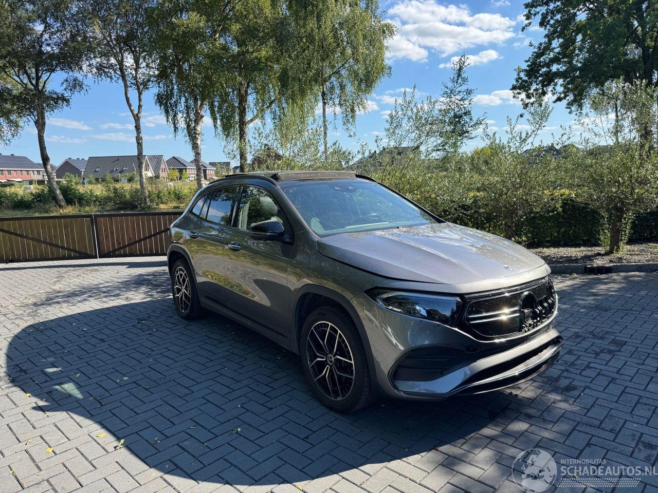 Mercedes EQA Mercedes-Benz EQA -Klasse EQA 300 4Matic Panorama Ambiance Trekhaak