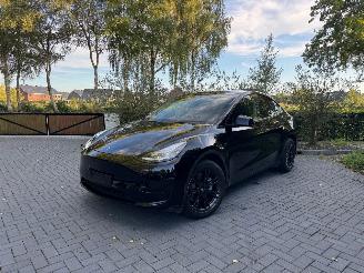 Tesla Model Y Model Y Range RWD Panorama 360camera VOL picture 7