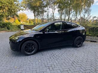 Tesla Model Y Model Y Range RWD Panorama 360camera VOL picture 8