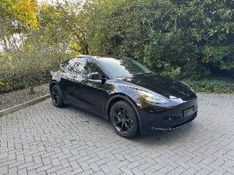 Tesla Model Y Model Y Range RWD Panorama 360camera VOL picture 10