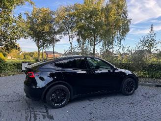 Tesla Model Y Model Y Range RWD Panorama 360camera VOL picture 6
