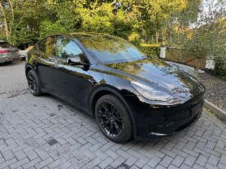 Tesla Model Y Model Y Range RWD Panorama 360camera VOL picture 16