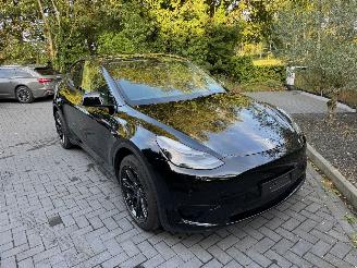Tesla Model Y Model Y Range RWD Panorama 360camera VOL picture 22