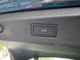 Volkswagen ID.7 ID.7 Pro 210 kW Panorama HUD Massage IQ Light VOL picture 12