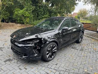 Cupra Formentor Cupra Formentor VZ 2.0 TSI 245 kW 4Drive Panorama AHK picture 26