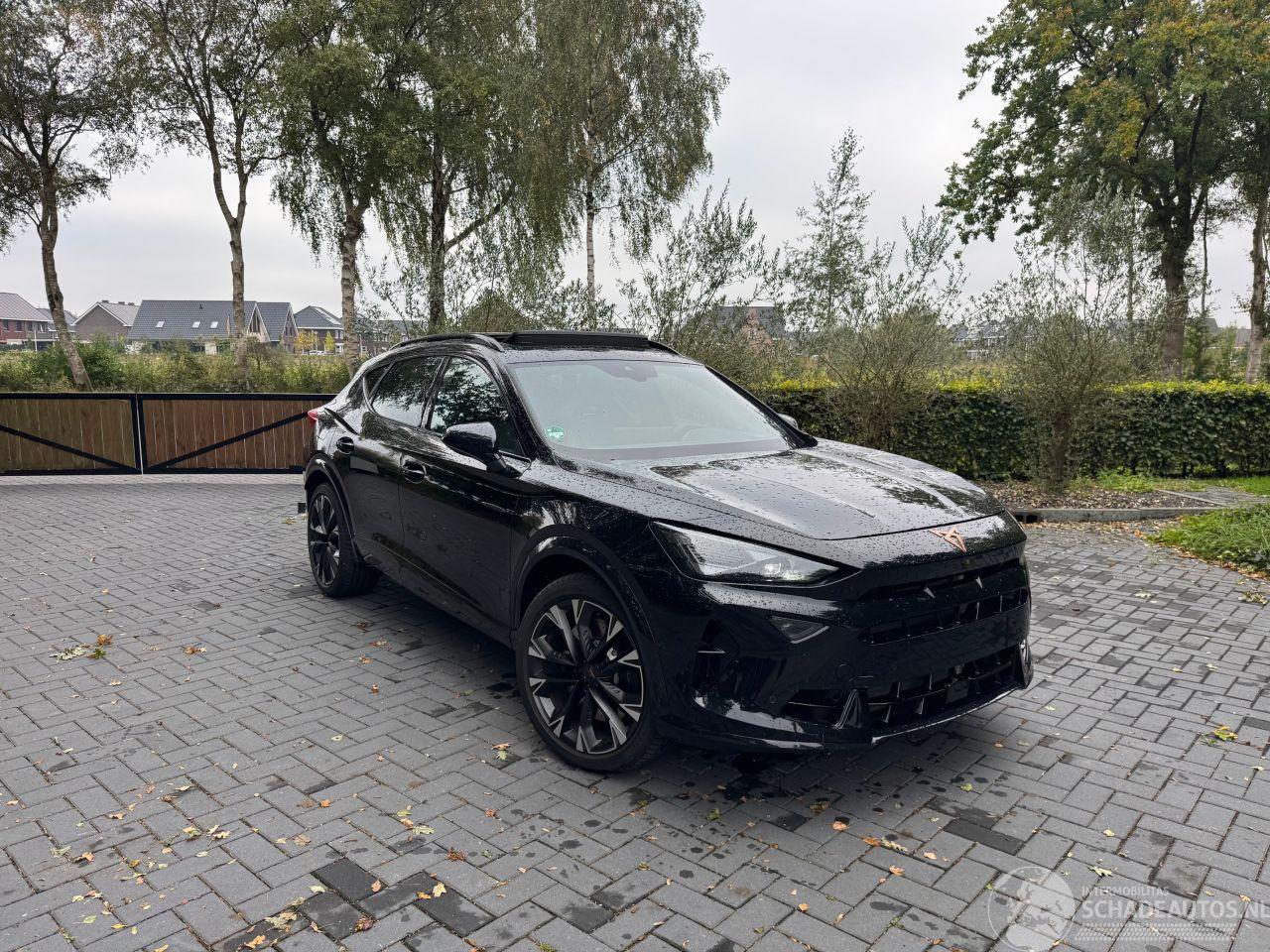 Cupra Formentor Cupra Formentor VZ 2.0 TSI 245 kW 4Drive Panorama AHK
