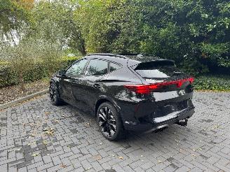 Cupra Formentor Cupra Formentor VZ 2.0 TSI 245 kW 4Drive Panorama AHK picture 10
