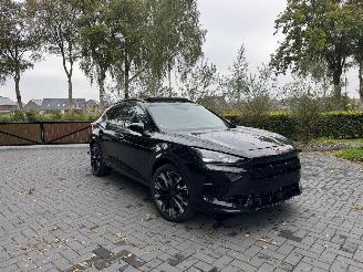 Cupra Formentor Cupra Formentor VZ 2.0 TSI 245 kW 4Drive Panorama AHK picture 22