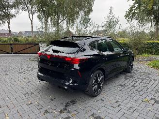 Cupra Formentor Cupra Formentor VZ 2.0 TSI 245 kW 4Drive Panorama AHK picture 12