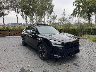 Cupra Formentor Cupra Formentor VZ 2.0 TSI 245 kW 4Drive Panorama AHK picture 24