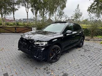 Audi Q5 Q5 50 TFSI e quattro S line Panorama Trekhaak Camera picture 5