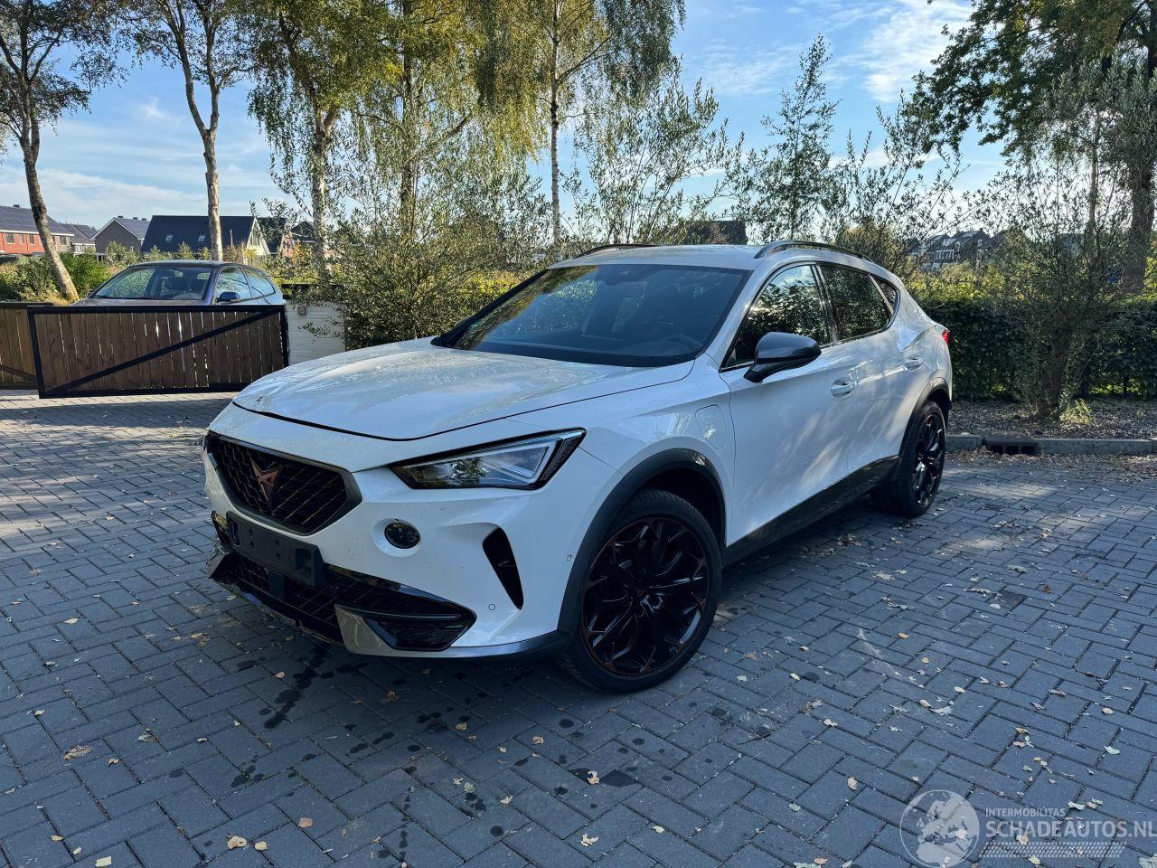 Cupra Formentor Cupra Formentor VZ e-Hybrid Ambiance Camera LED VOL