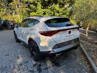 Cupra Formentor Cupra Formentor VZ e-Hybrid Ambiance Camera LED VOL picture 24