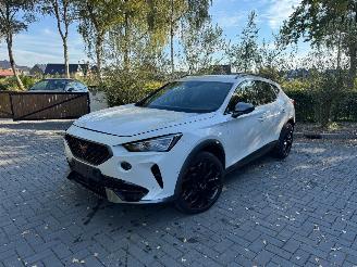 Cupra Formentor Cupra Formentor VZ e-Hybrid Ambiance Camera LED VOL picture 22