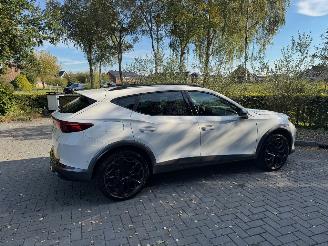 Cupra Formentor Cupra Formentor VZ e-Hybrid Ambiance Camera LED VOL picture 11