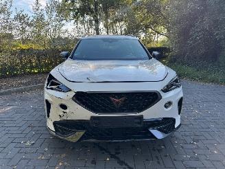 Cupra Formentor Cupra Formentor VZ e-Hybrid Ambiance Camera LED VOL picture 25
