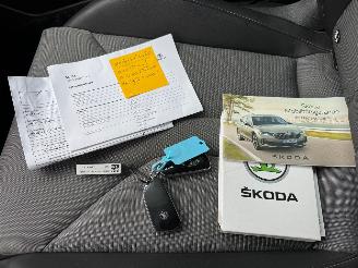 Skoda Enyaq Skoda Enyaq 80 x Loft Camera  4 motion VOL picture 6