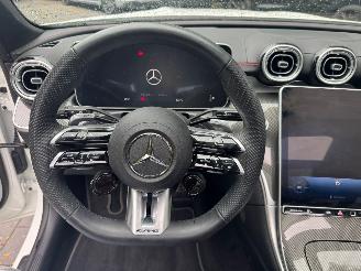 Mercedes C-klasse Mercedes-Benz C 43 AMG Panorama Ambiance LED Matrix AHK VOL!! picture 34