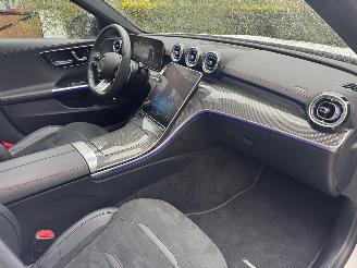 Mercedes C-klasse Mercedes-Benz C 43 AMG Panorama Ambiance LED Matrix AHK VOL!! picture 19