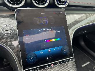 Mercedes C-klasse Mercedes-Benz C 43 AMG Panorama Ambiance LED Matrix AHK VOL!! picture 35