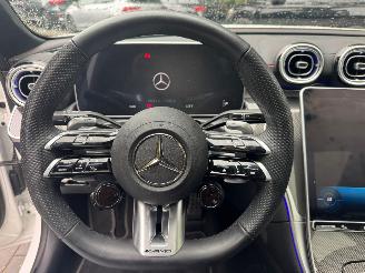 Mercedes C-klasse Mercedes-Benz C 43 AMG Panorama Ambiance LED Matrix AHK VOL!! picture 39