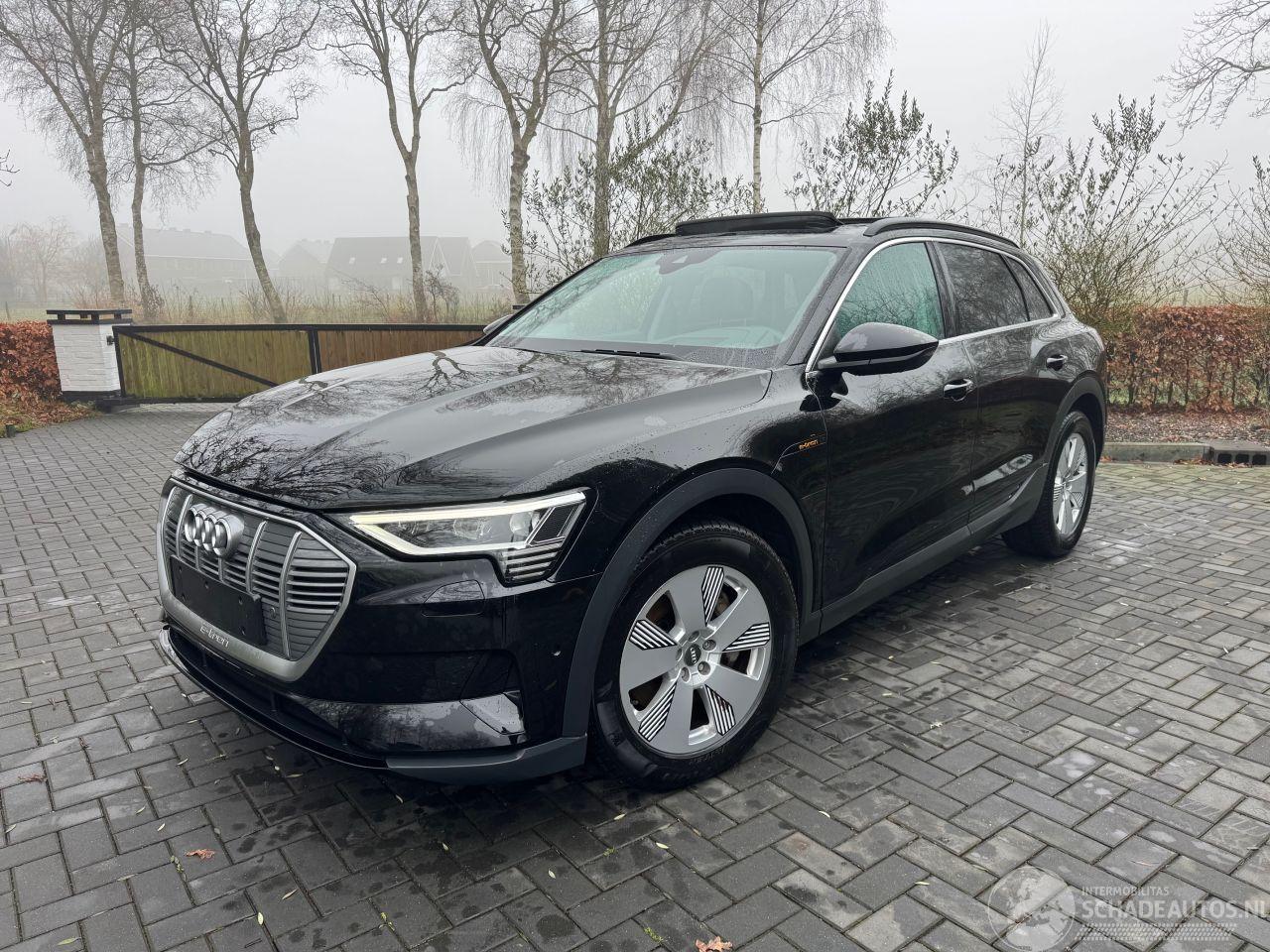 Audi E-tron Audi E-tron 55 Quattro S-Line Panorama Leder Trekhaak VOL