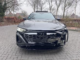 Audi Q8 Audi Q8 e-tron 55 Quattro S-line PANORAMA AHK Camera picture 22