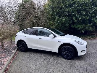 Tesla Model Y Tesla Model Y Long Range RWD PANORAMA Autopilot VOL picture 16