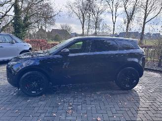 Land Rover Range Rover Evoque Land Rover Range Rover Evoque S Leder Camera AHK 2024 VOL picture 19