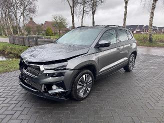 Skoda Karoq Karoq 1.5 TSI DSG Camera Trekhaak Ambiance VOL! picture 15