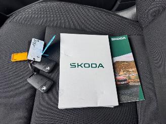 Skoda Karoq Karoq 1.5 TSI DSG Camera Trekhaak Ambiance VOL! picture 29