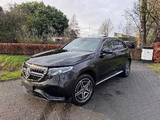Mercedes EQC EQC 400 4Matic Panorama Ambiance Trekhaak Camera VOL! picture 31