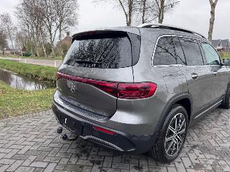 Mercedes EQB EQB 250+ AMG Panorama Burmester HUD Trekhaak 360view VOL picture 30