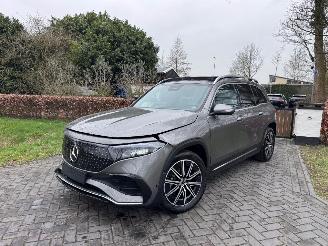 Mercedes EQB EQB 250+ AMG Panorama Burmester HUD Trekhaak 360view VOL picture 21