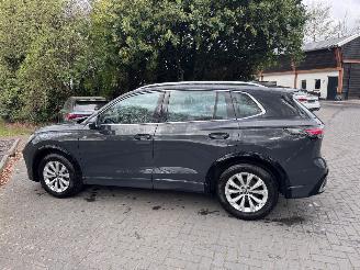 Volkswagen Tiguan Volkswagen Tiguan 2.0 TDI R-Line Camera AHK Ambiance VOL! picture 15