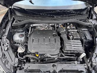 Volkswagen Tiguan Volkswagen Tiguan 2.0 TDI R-Line Camera AHK Ambiance VOL! picture 27