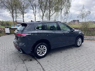 Volkswagen Tiguan Volkswagen Tiguan 2.0 TDI R-Line Camera AHK Ambiance VOL! picture 10