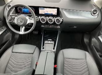 Mercedes GLA GLA 250 GLA GLA 250 e ACC Camera Ambiance VOL picture 4