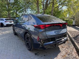 Cupra Tavascan  picture 9