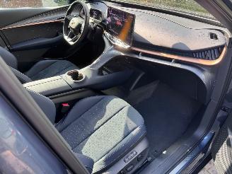 Cupra Tavascan  picture 22